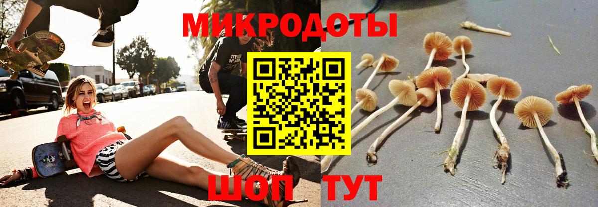 Галлюциногенные грибы MAGIC MUSHROOMS Новоалександровск